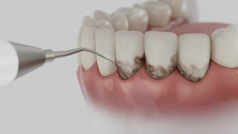 Reliable Dental contractor in Walker Mill, MD by Dentist Open Now